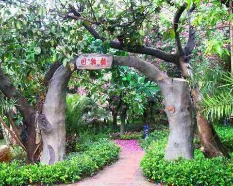 荷塘月色，花鸟相闻——中澳实验学校植物园