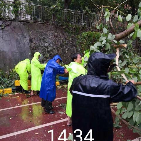 "山竹"肆虐，卫士无畏——记中澳学校管理处抢险工作