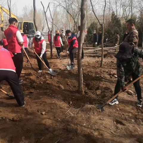 植绿添绿正当时   学习雷锋做先锋