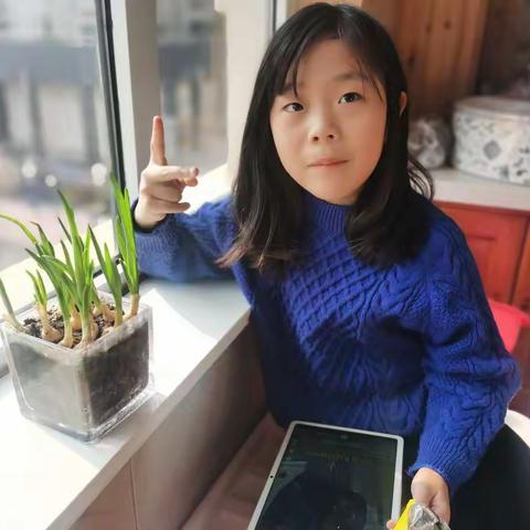 小蒜苗成长记
