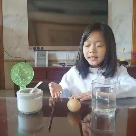 科学小实验：《漂浮的鸡蛋》实验者：王从羽