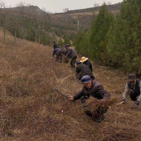 三月，春风和煦、万木吐绿，关山林场管护组顺利完成我场在北坡公园义务植树节前的准备工作。