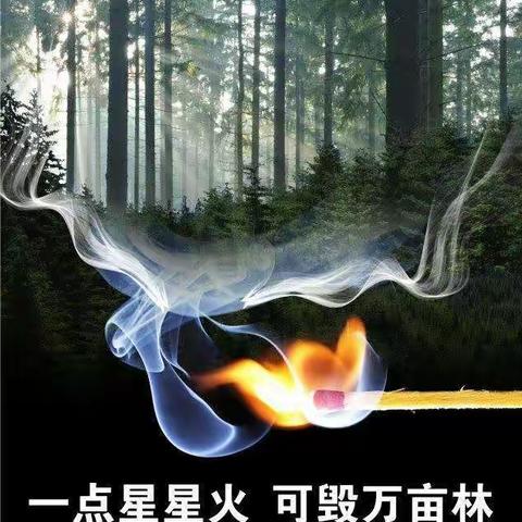 关山林场杏咀庙站 ：常态宣传巡查防控 严守森林防火“安全线”
