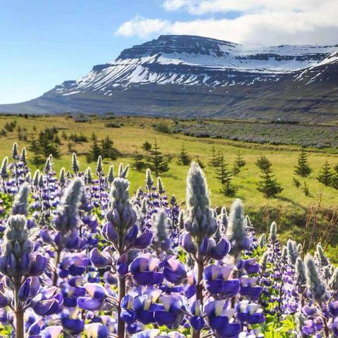 三月重点保险产品简介