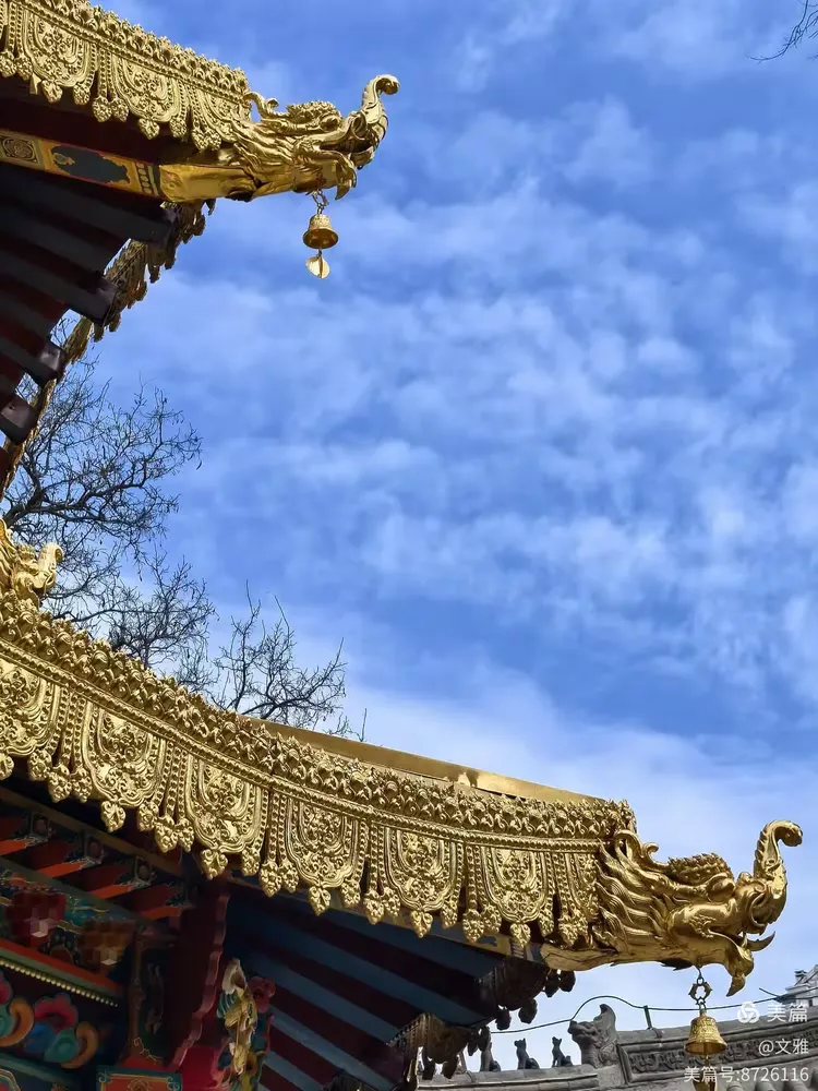 关于北塔超度的信息