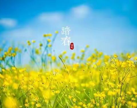 春天的足迹——三（13）班清明踏青纪实