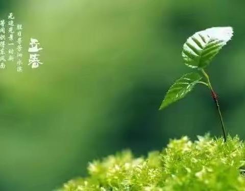 我们的探春之旅