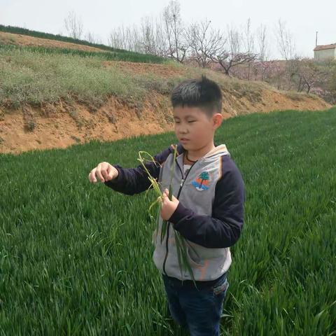 快乐的一天（副本）