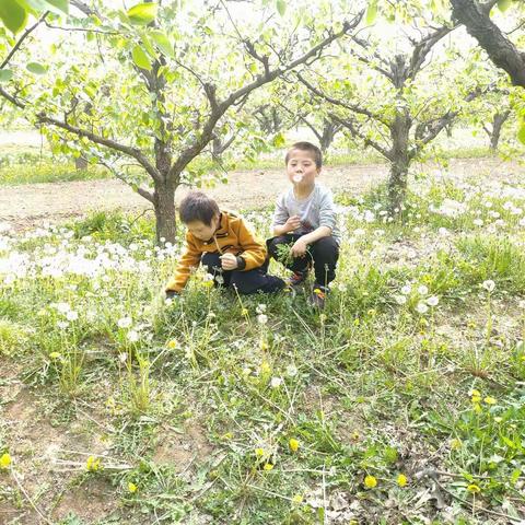 南白小学二年级研学活动～挖野菜
