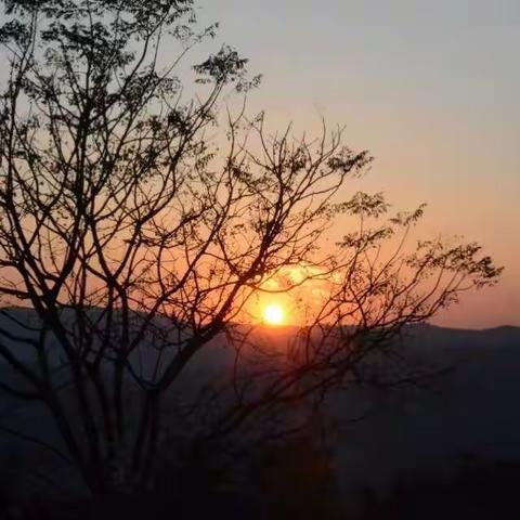 景迈茶山～寻茶之旅