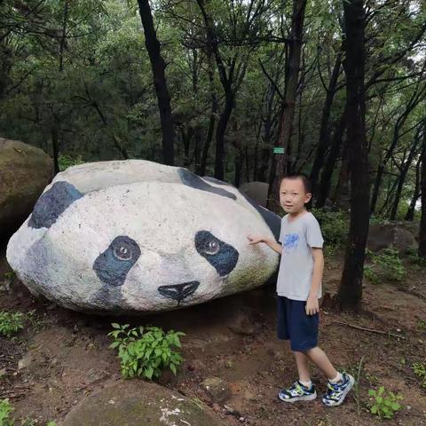 登顶龟蒙山——临沂之旅