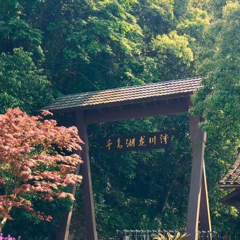 龙川湾湿地