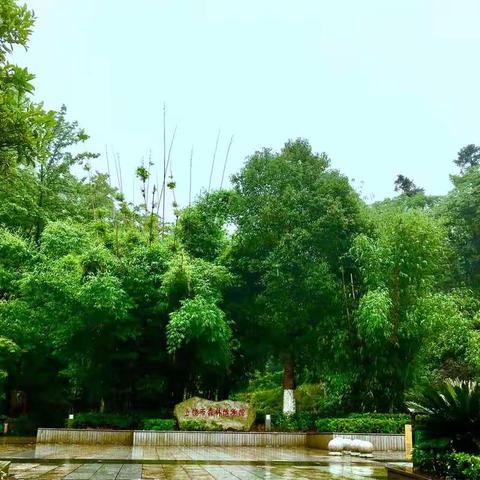 雨中漫步雲壁峰