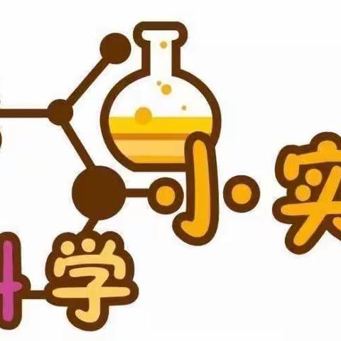 趣味科学小实验【会跳舞的盐】红果果幼儿园学前一班活动回顾