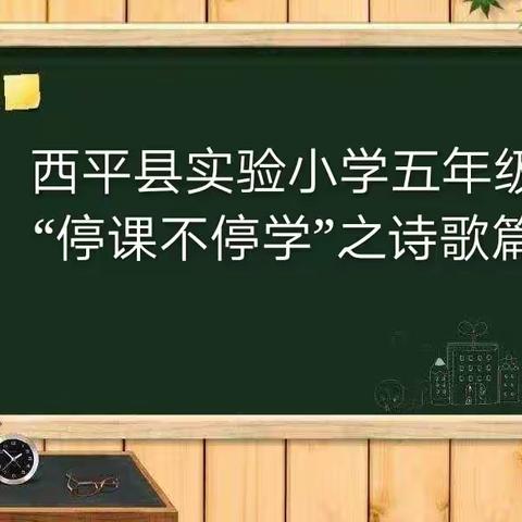 疫情作课堂      生活即成长