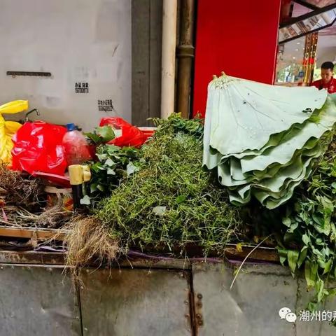 那碗潮州青草水