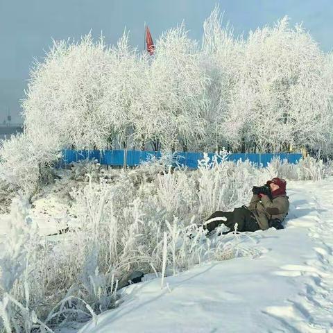 魅力吉林 · 醉人雾松