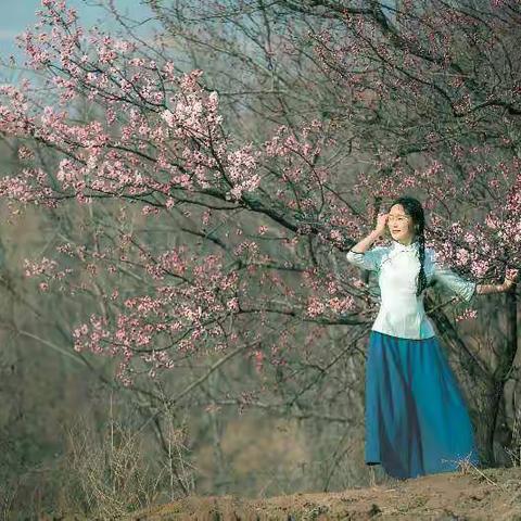 〔浪漫昌乐〕之二：杏林之恋