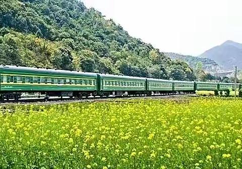 想和你坐一列绿皮老火车🚞