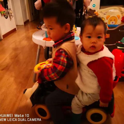 2019.12.20在郑州和小老虎还有妹妹相处几天