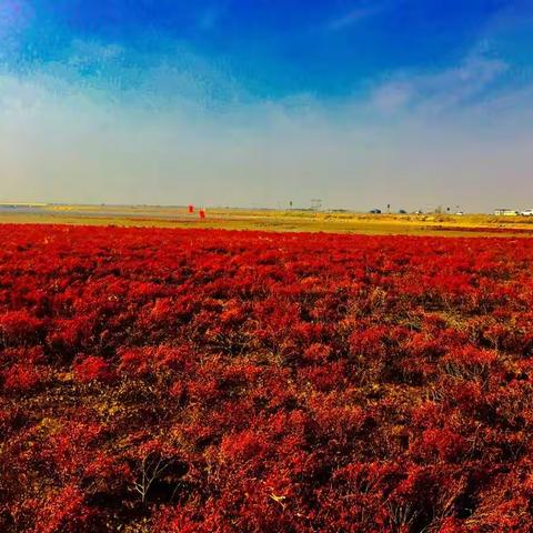 红海滩