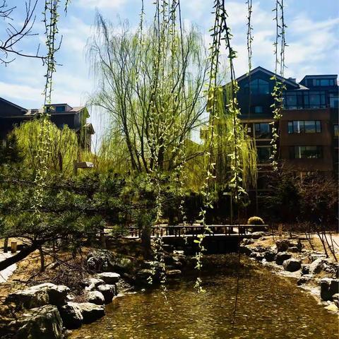 奥园之春（2018年）