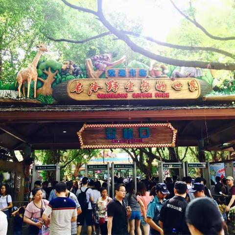 广州长隆野生动物园2017.10.2