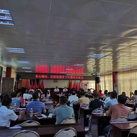 东山镇召开市、区政协委员下沉履职见面会