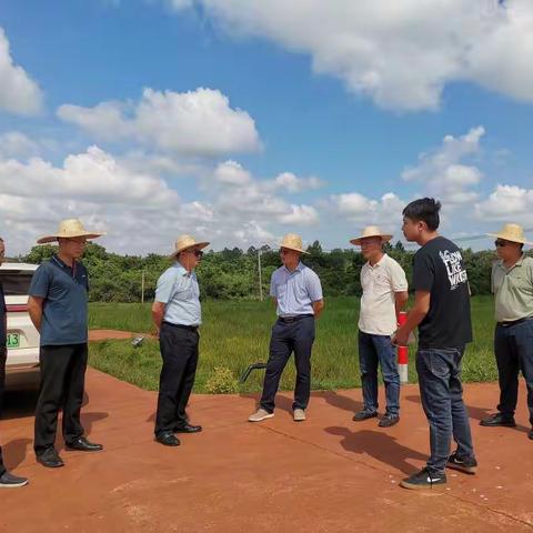 东山镇主要领导深入东星村开展土地整治项目推进工作