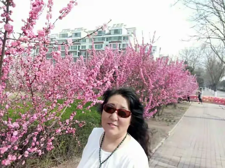 62岁一一我的花花,《视界》 我和花草做朋友. 手机拍摄于《山海关》