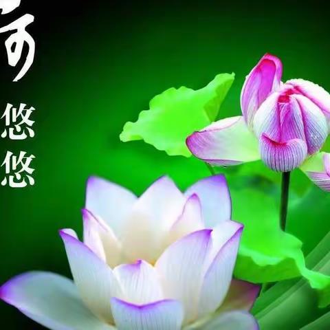 冀州区第二实验小学五（3）班多彩寒假 快乐童年