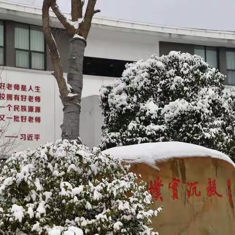 雷芷馨的社会实践活动报告