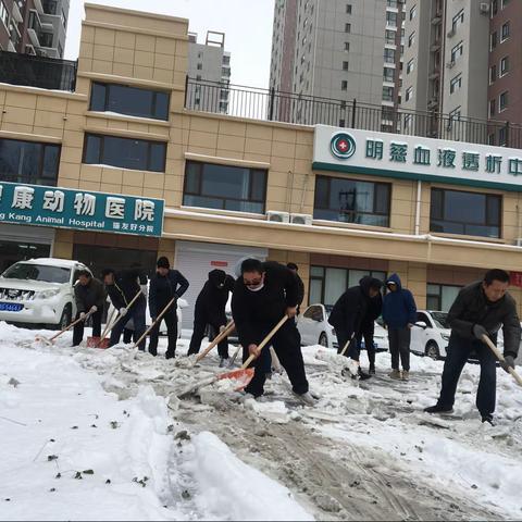 【网格化管理】扫雪总动员 清雪暖人心