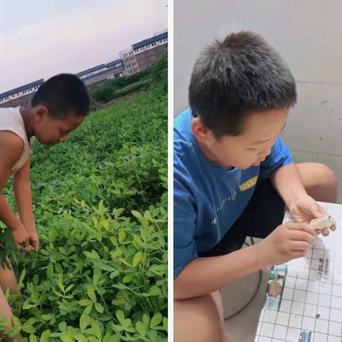 【王家庄小学】快乐双减，缤纷假期