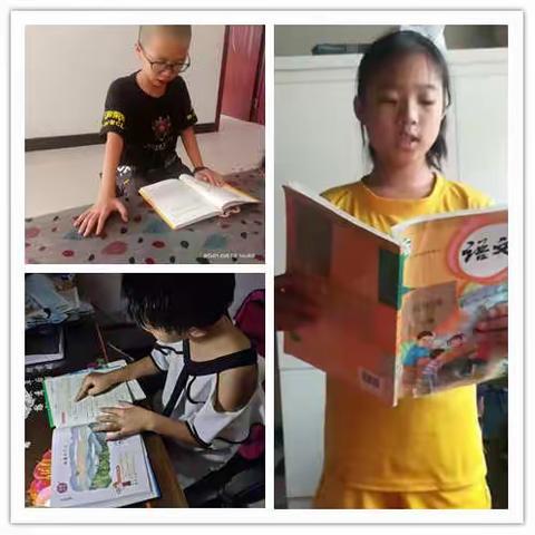 多彩暑假  快乐生活--大陈学区王家庄小学暑假活动