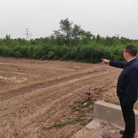 张家堡村迅速推进耕地“非农化”“非粮化”整改工作