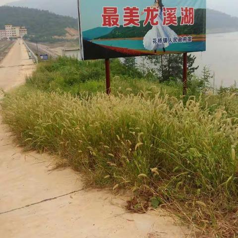 醉美花桥龙溪湖🏊🏄