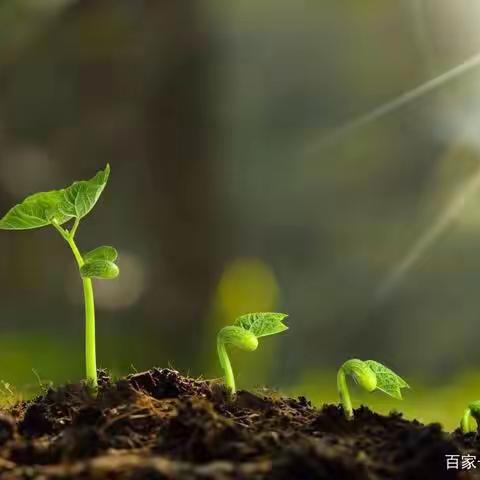 春归万物苏，精彩正当时—记临沭县第一教学联盟第一次课堂教学活动