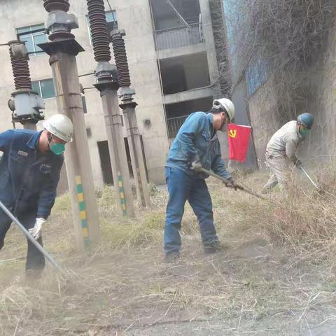 国钛科技：义务劳动  共享美好