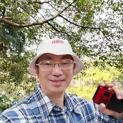 叶天来之《花之系列》