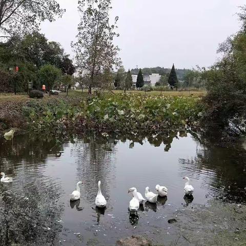 徽州古村落：唐模