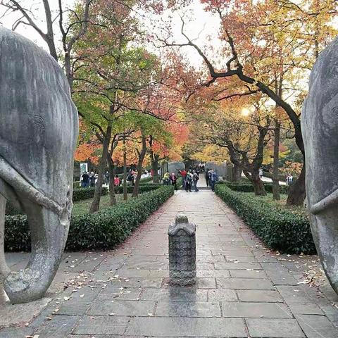 明孝陵神像路：南京最美600米风景带