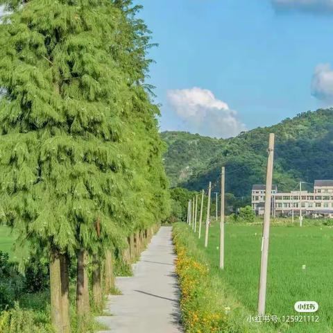 缤纷假日，一路成长