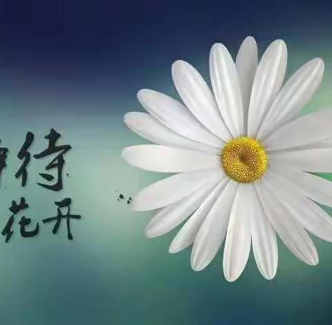 云端共研，静待花开