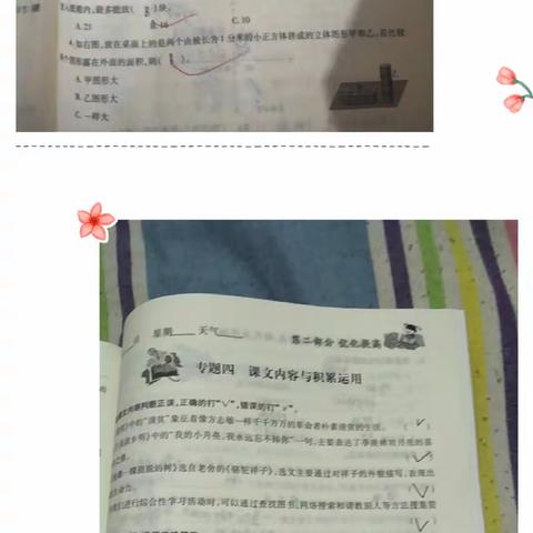 快乐暑假不虚度，多彩作业润童年—西羊羔中心小学暑假作业