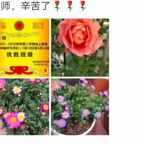 💕记录那段难忘岁月(二)——2020年线上学习