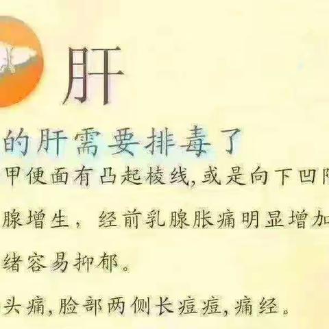 肝、脾、肺、肾、淋巴、大肠需要排毒的症状