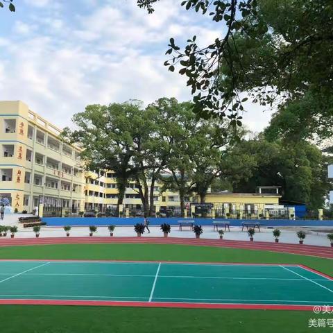 新教师，新风采———2022秋禾丰镇中心小学新教师过关课剪影