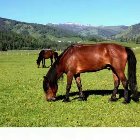 新疆是个好地方__2