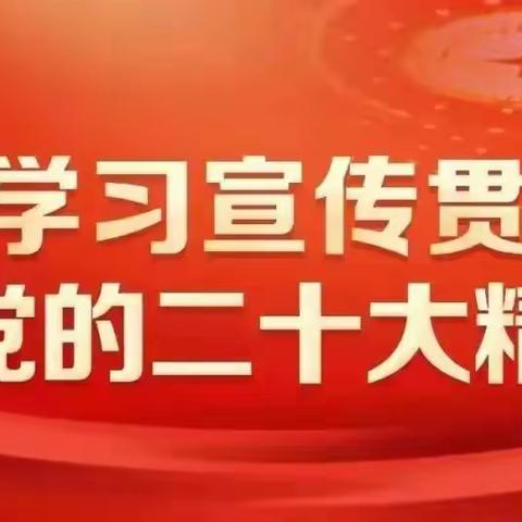 《学习二十大  争做好队员》——西平县实验小学